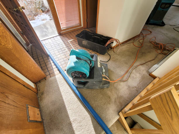 Best Water damage cleanup near me  in Level Park Oak Park, MI