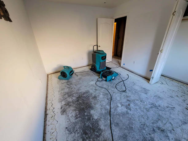 Best Water damage contractors near me  in Level Park Oak Park, MI