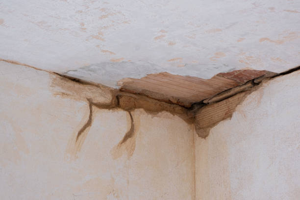 Best 24-hour water damage restoration  in Level Park Oak Park, MI