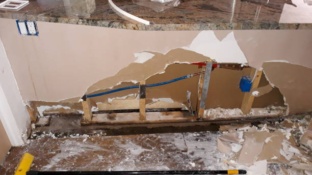 Best Basement water damage restoration  in Level Park Oak Park, MI