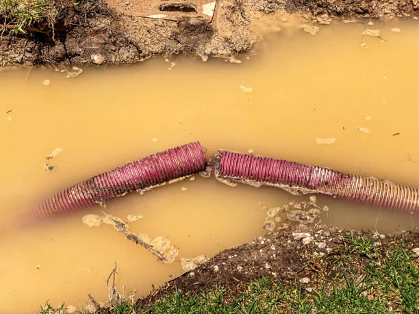 Best Residential water damage restoration  in Level Park Oak Park, MI