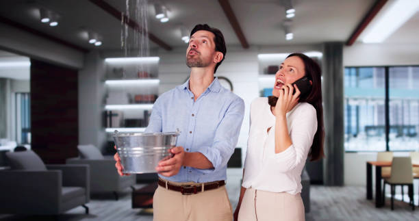  Level Park Oak Park, MI Water damage restoration Pros